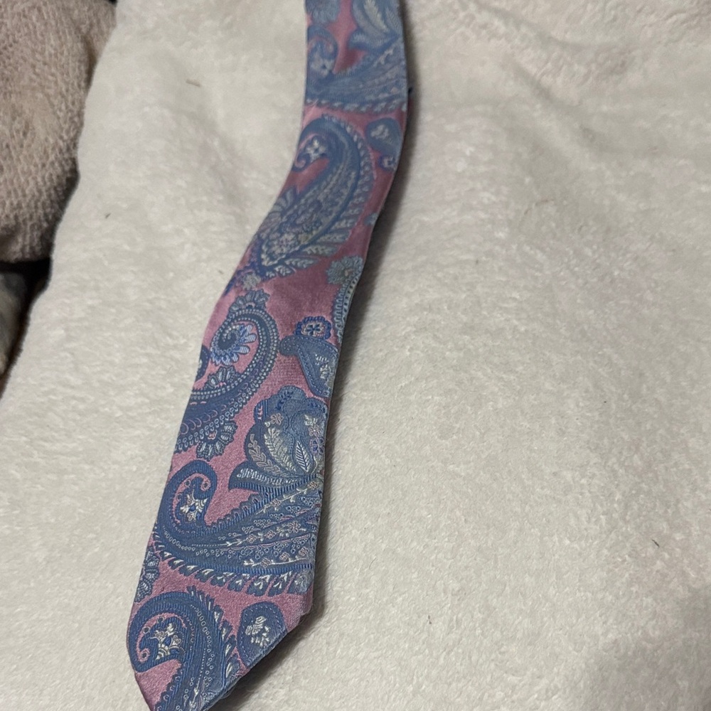Zegna Elegant Paisley Tie in Pink and Blue
